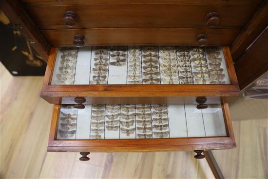 A Victorian mahogany and deal collector cabinet of moth specimens, by J.T Crockett & Son, W.52cm D.47cm H.135cm